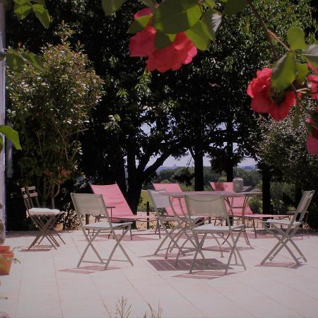 La Chartreuse Bed & Breakfast Larroque-Engalin ภายนอก รูปภาพ